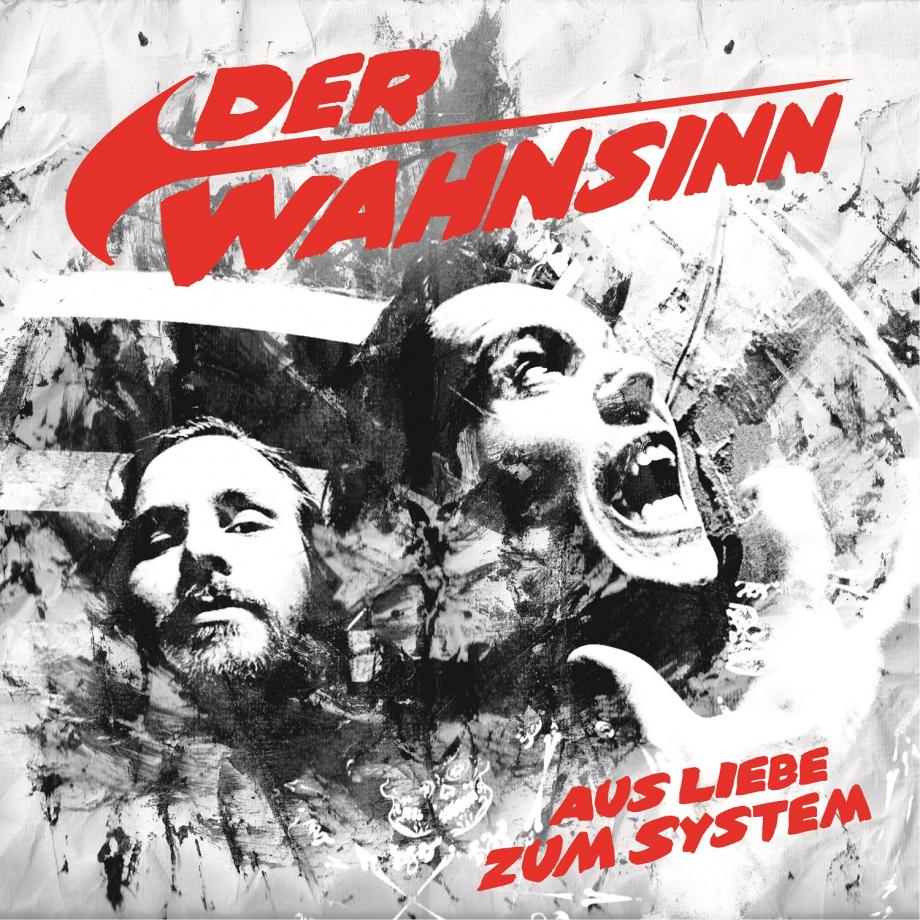 Der Wahnsinn aus Liebe zum System Cover Der Wahnsinn aus Liebe zum System Cover