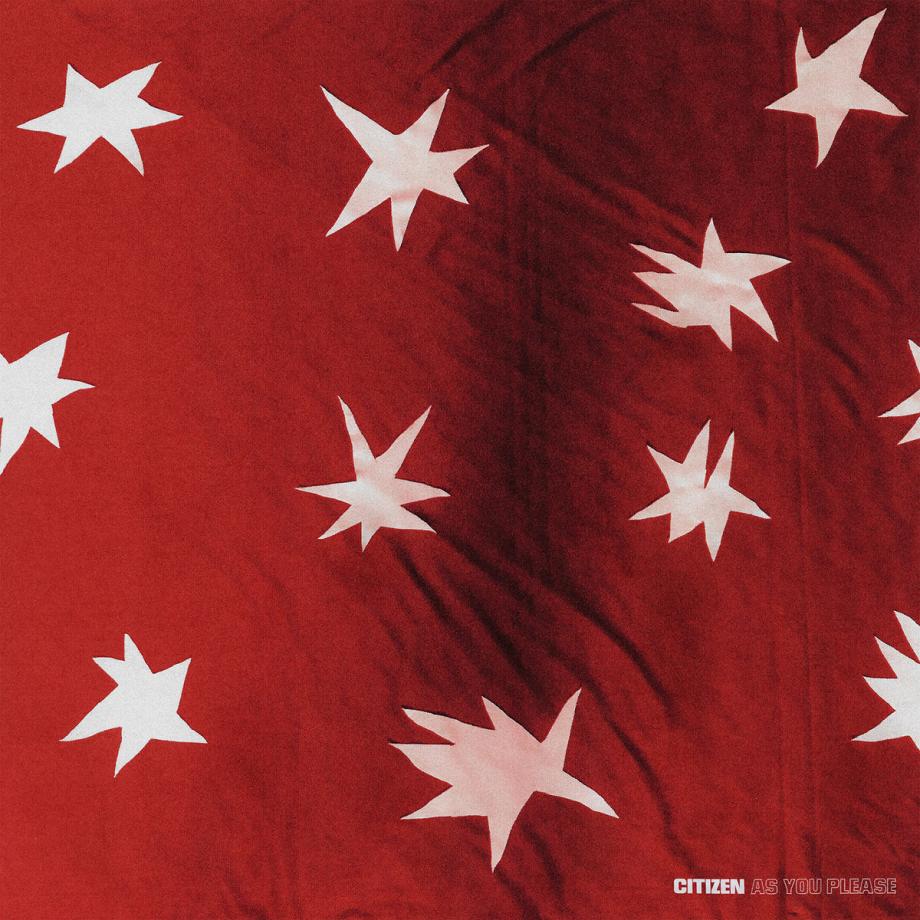 Citizen As You Please Cover Citizen As You Please Cover