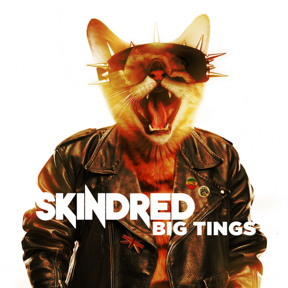 Skindred Big Tings Cover Skindred Big Tings Cover