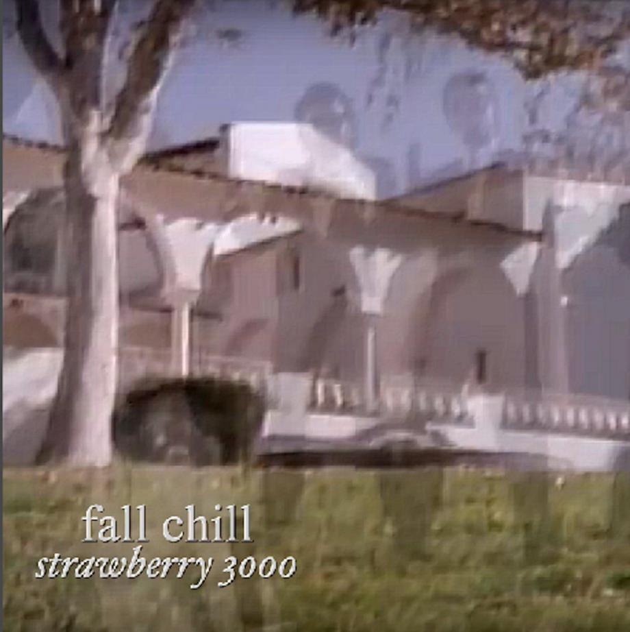 Strawberry 3000 fall chill Cover Strawberry 3000 fall chill Cover