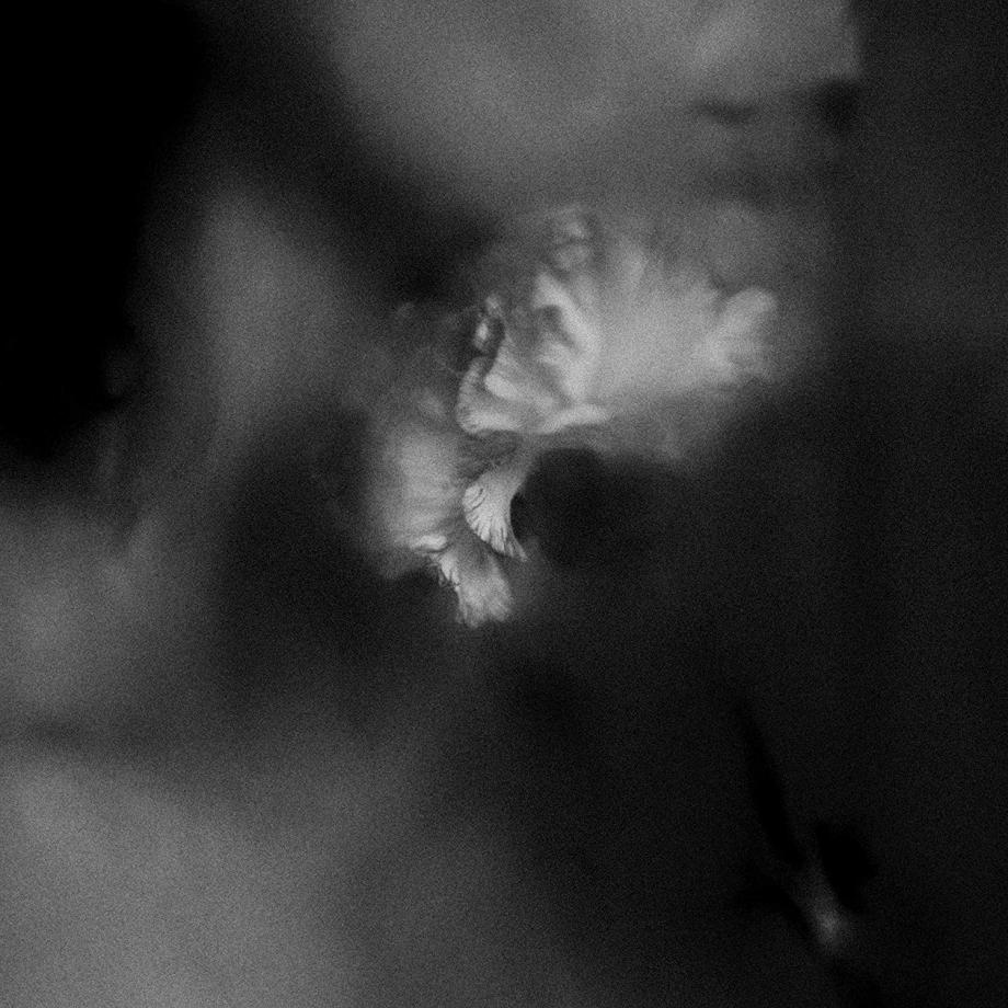 Holding Absence Cover Holding Absence Cover