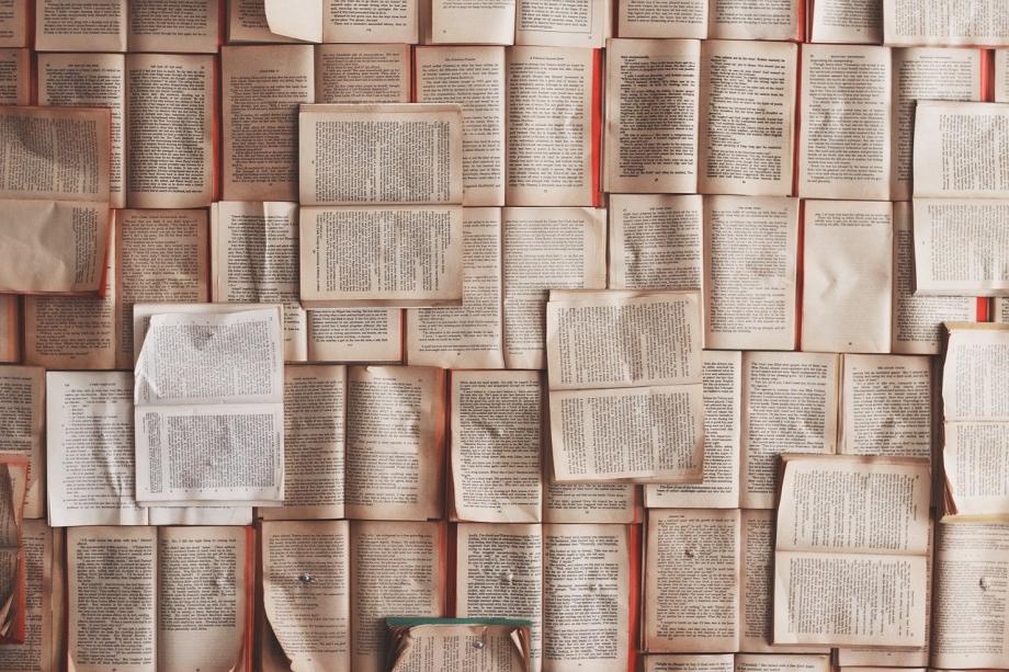 Bücher Bücher