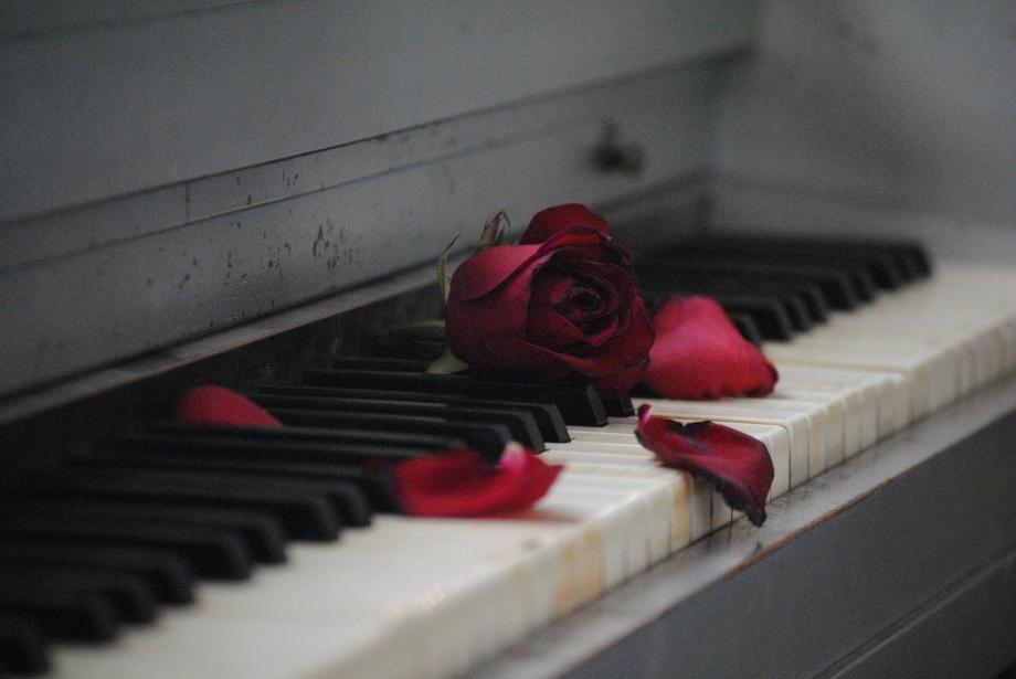 Broken Heart Broken Heart