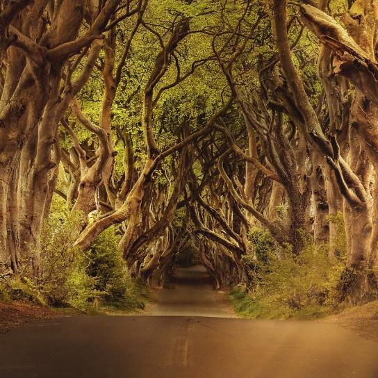 Game Of Thrones
