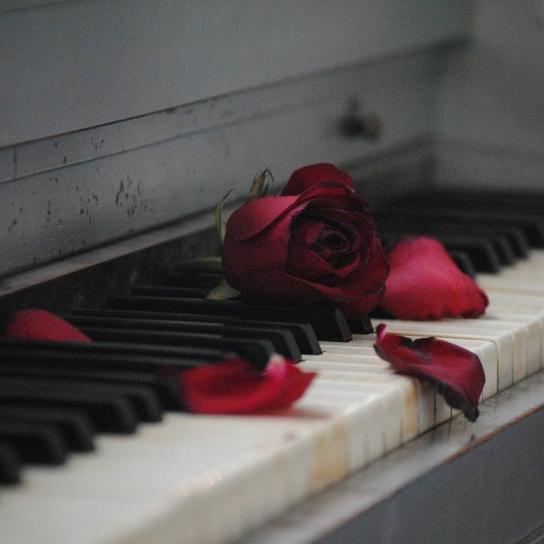 Broken Heart